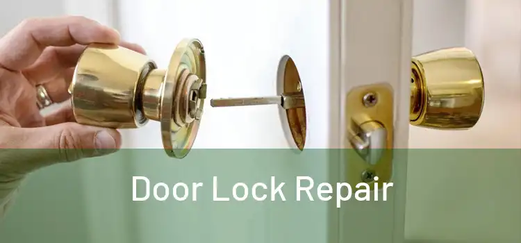 Door Lock Repair